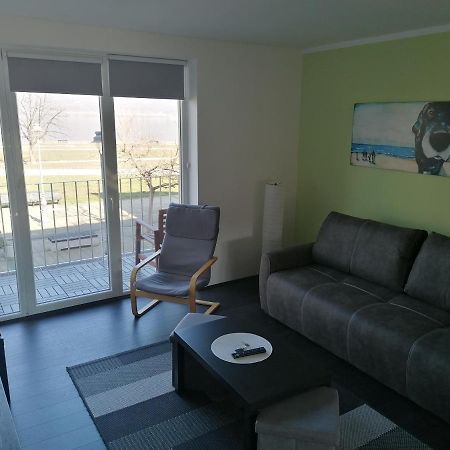 Apartman Terassa Donji Milanovac Ngoại thất bức ảnh