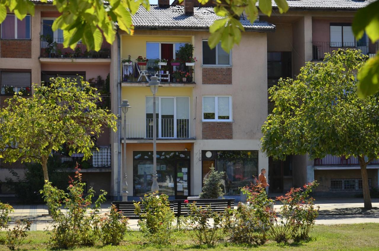 Apartman Terassa Donji Milanovac Ngoại thất bức ảnh