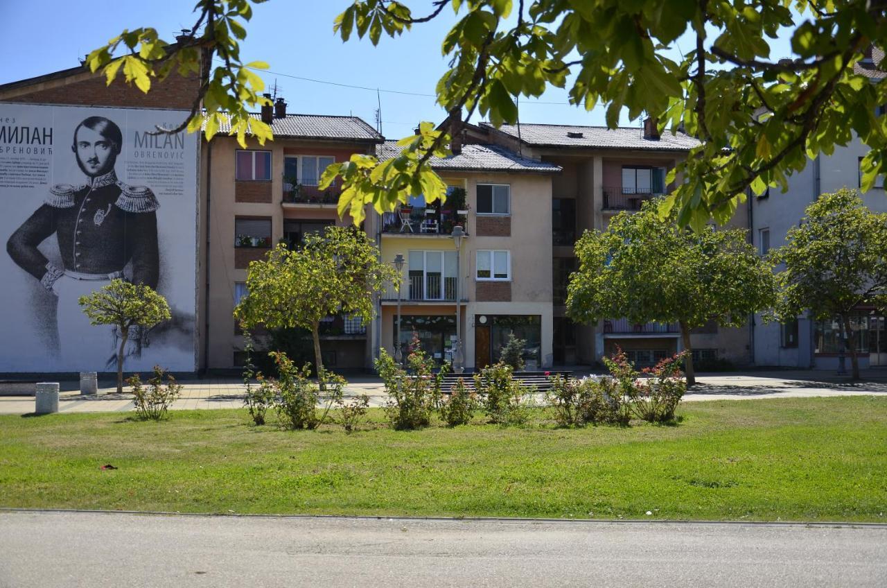 Apartman Terassa Donji Milanovac Ngoại thất bức ảnh
