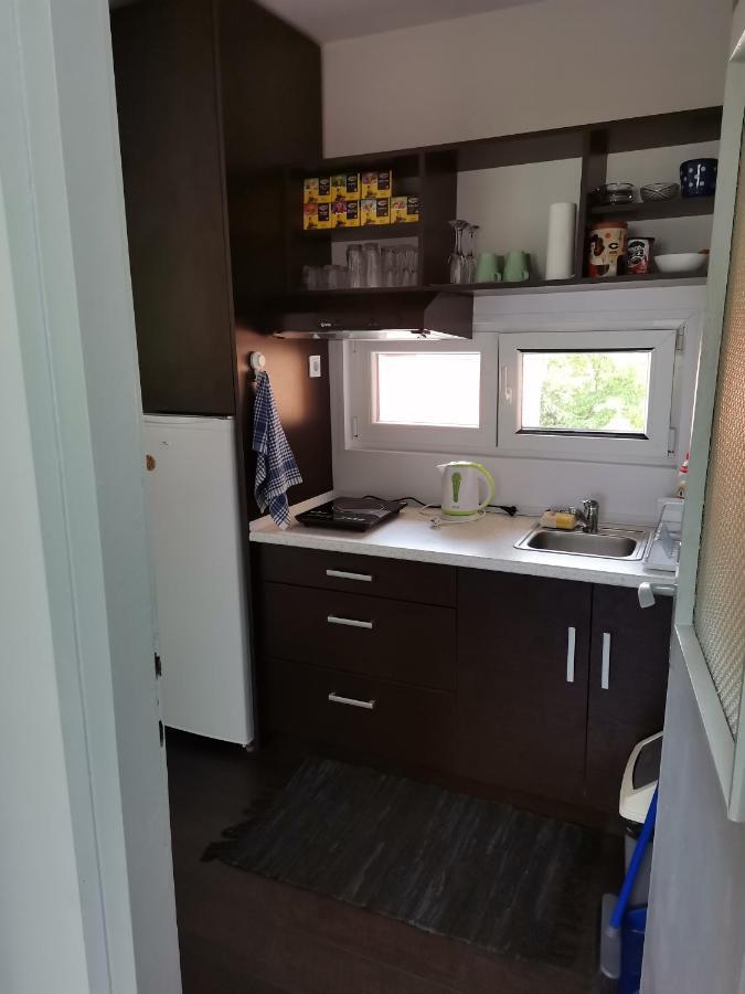 Apartman Terassa Donji Milanovac Ngoại thất bức ảnh