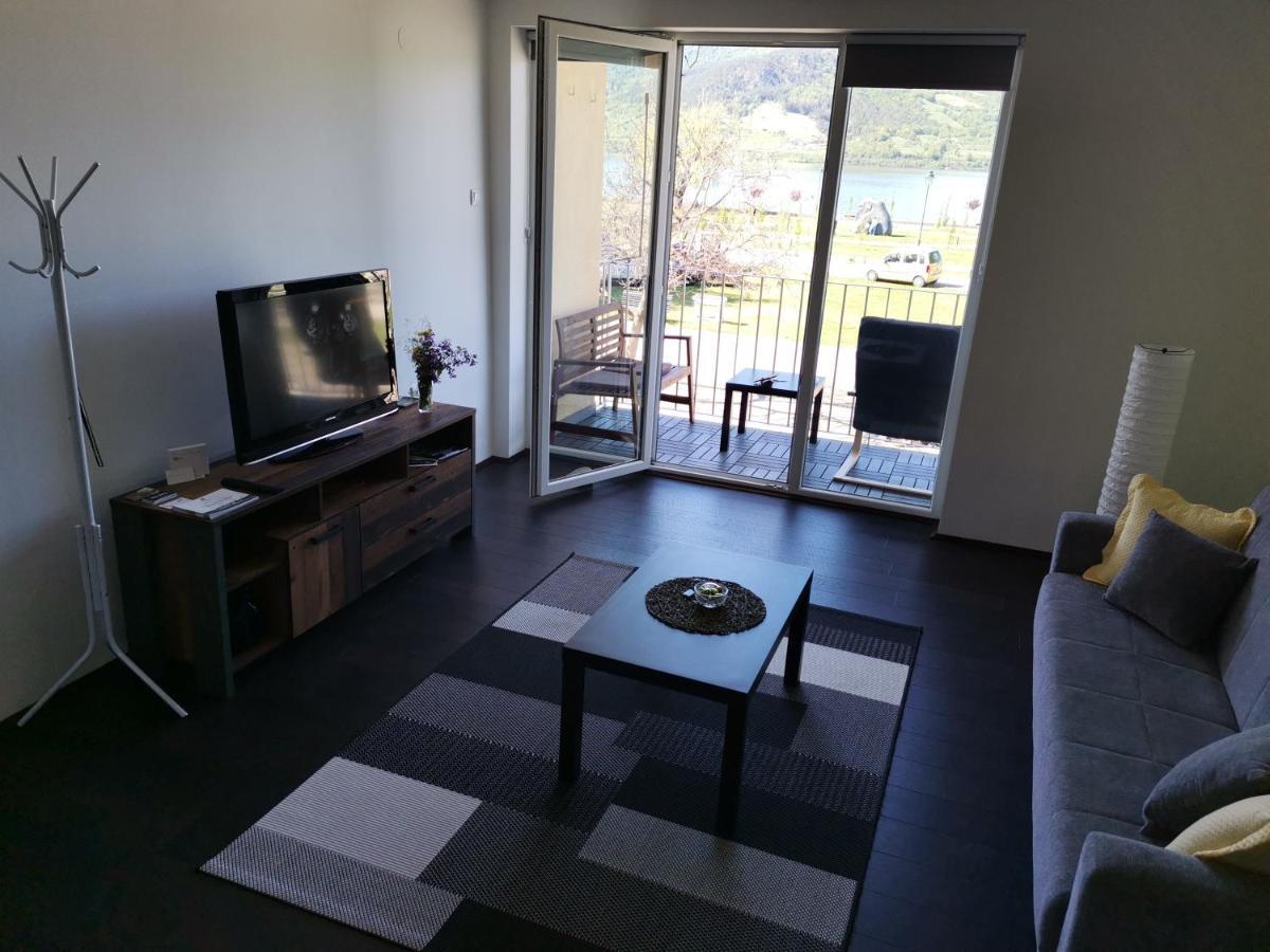 Apartman Terassa Donji Milanovac Ngoại thất bức ảnh