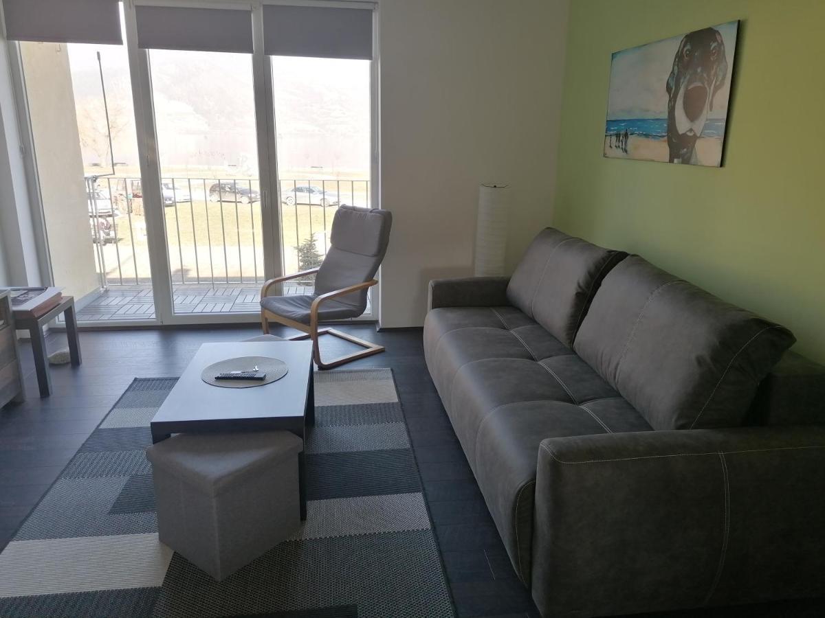 Apartman Terassa Donji Milanovac Ngoại thất bức ảnh