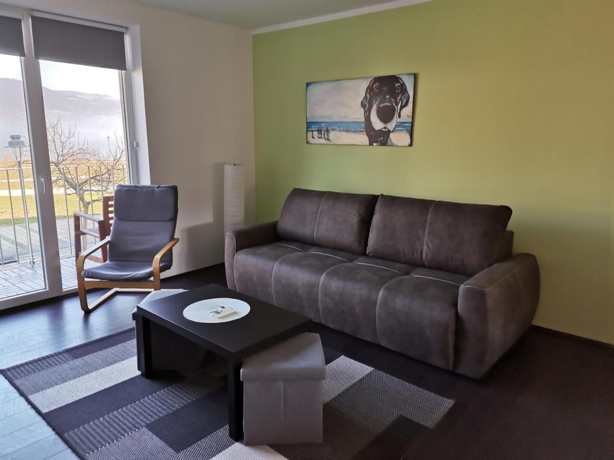 Apartman Terassa Donji Milanovac Ngoại thất bức ảnh