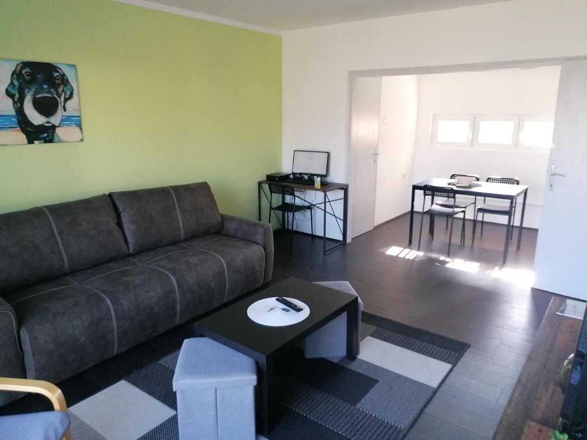 Apartman Terassa Donji Milanovac Ngoại thất bức ảnh
